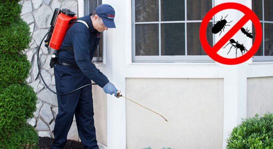 Üçyol Kene İlaçlama böcek ilaçlama ve haşere kontrolü — ilaclama-tr.com